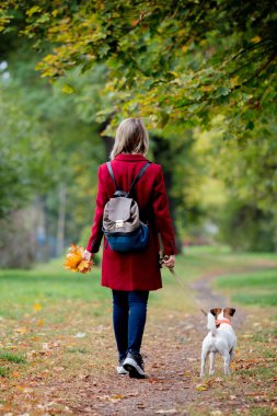Yaprakları walki sonbahar sezonu sokakta park doge ile genç tarzı kız
