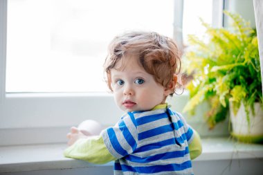 Küçük çocuk bir iş bulmak. Pencere pervazına kal ve evde bitki