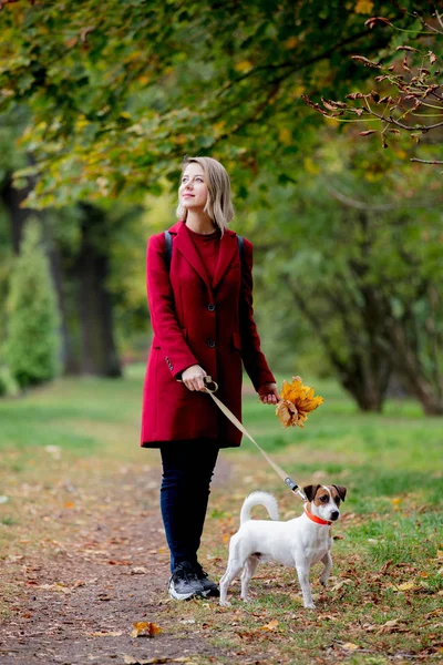 Ung Tjej Med Bladen Walki Dogen Park Gränd Höstsäsongen — Stockfoto