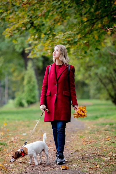 Chica Estilo Joven Con Hojas Walki Doge Callejón Del Parque — Foto de Stock