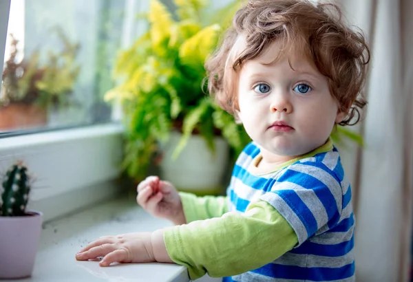 Little Boy Discover Work Stay Window Sill Plant Home — Stock Photo, Image