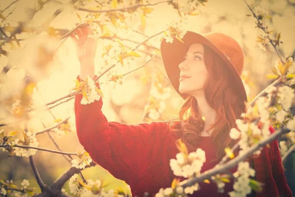 Woman in blossom apple tree garden — Stock Photo, Image