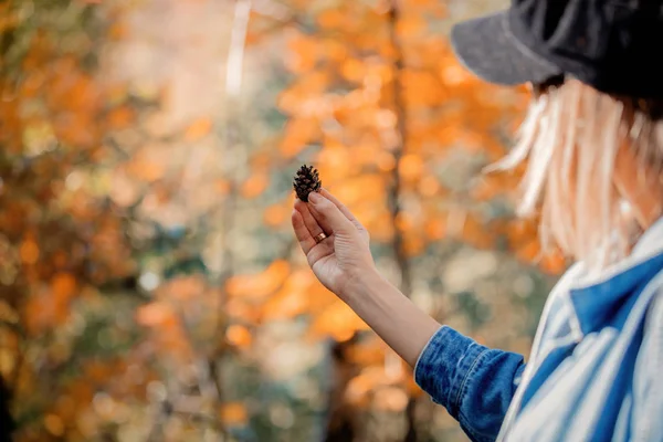 Menina Segurando Pequeno Cone Pinho Fundo Floresta Hora Época Outono — Fotografia de Stock