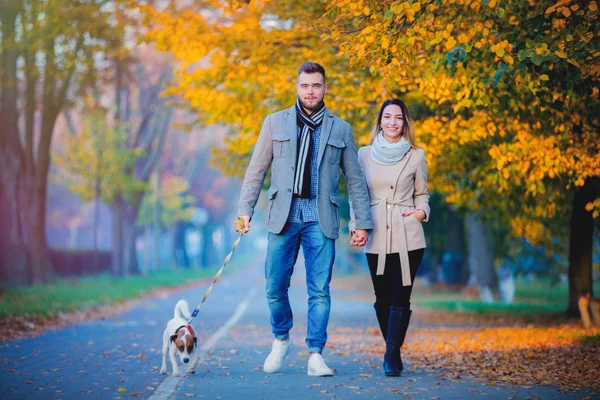 Young couple with dog at autumn season alley.