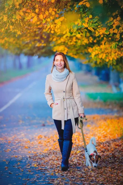 Šťastná Dívka Chodit Psem Podzimní Alej — Stock fotografie