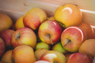 Kırmızı elma bir çekmecede. Yan görünümü. Sonbahar sezonu zaman 