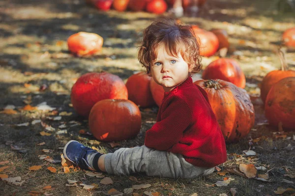 カボチャと芝生の上に座って 小さな幼児男の子 秋シーズンの時間 — ストック写真