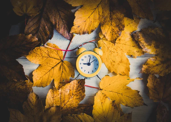 Horloge sur les feuilles d'érable d'automne — Photo