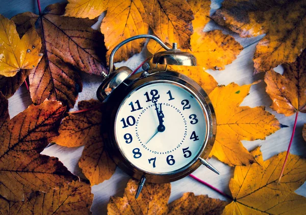 Uhr auf Herbst-Ahornblättern — Stockfoto