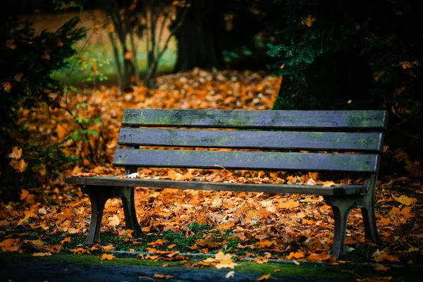 Stará lavička v parku — Stock fotografie