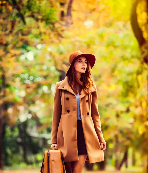 红发女孩带着手提箱中片秋色的公园 — 图库照片