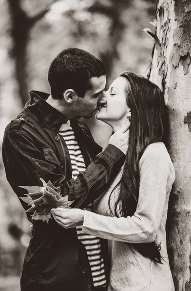 Молодая пара влюбленных поцелуев в парке осеннего сезона — стоковое фото