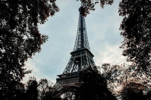 Ağaçları saran ile Eiffel Tower'da görüntülemek. — Stok fotoğraf