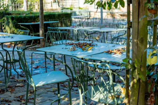 Vista em folhas de bordo na mesa de metal verde no café — Fotografia de Stock