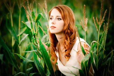 kız bir Mısır koçanı alanında duruyor