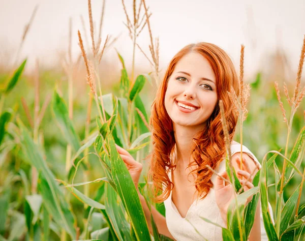 Lány ott áll a mező kukorica csövek — Stock Fotó