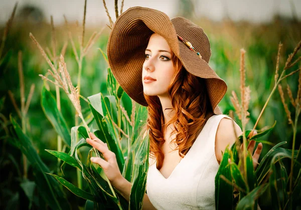 Chica está de pie en un campo de mazorcas de maíz —  Fotos de Stock