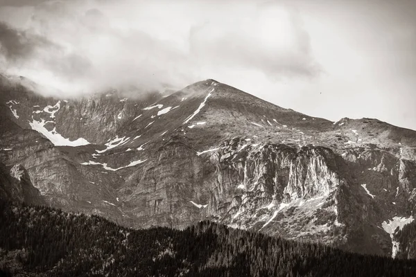 Sumu Kuusimetsässä Syksyllä Tai Keväällä Tatry National Park Puola Kuva — kuvapankkivalokuva