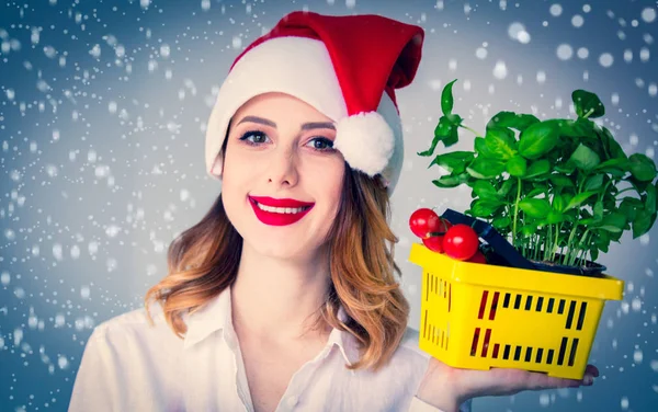 Cappello donna in Babbo Natale con cesto di erbe — Foto Stock