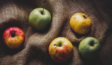 Elma jüt çuval arka plan üzerinde. Sonbahar sezonu hasat