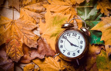 Vintage çalar saat ve akçaağaç yaprakları