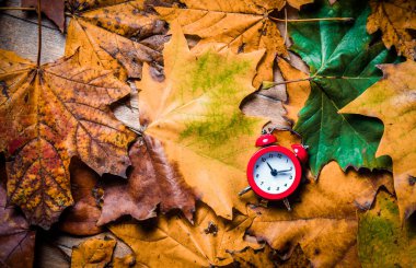 Vintage çalar saat ve akçaağaç yaprakları
