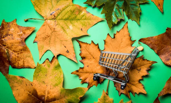 단풍 잎 및 쇼핑 카트 — 스톡 사진