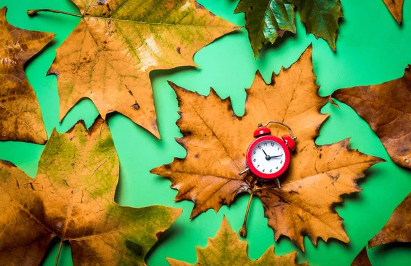 Vintage alarm clock and maple leaves — Stock Photo, Image