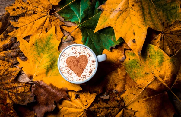 Cup of cappuccino with heart shape on maple leaves — Stock Photo, Image