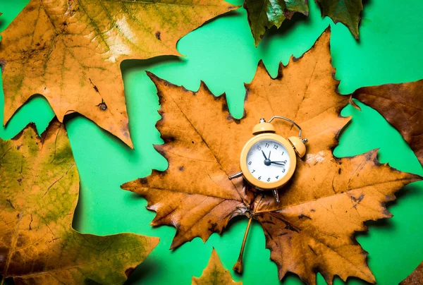 Vintage alarm clock and maple leaves — Stock Photo, Image