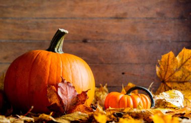 akçaağaç yaprakları ve kabaklar ahşap tablo