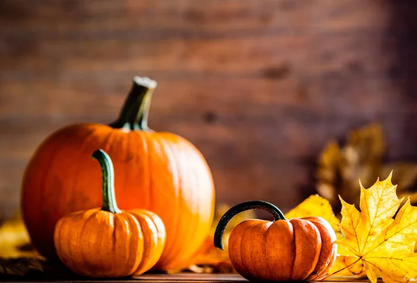 akçaağaç yaprakları ve kabaklar ahşap tablo