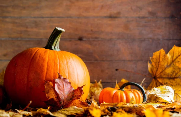 akçaağaç yaprakları ve kabaklar ahşap tablo