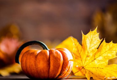 akçaağaç yaprakları ve kabaklar ahşap tablo