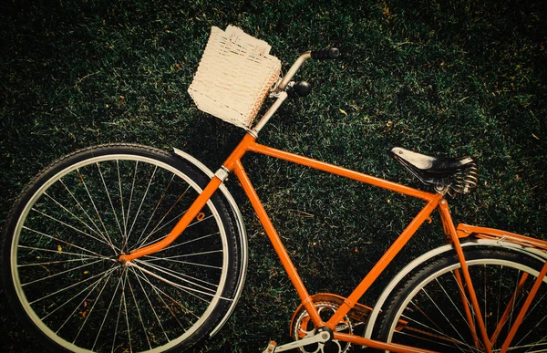 Vintage Rowerów Czeka Pobliżu Drzewa Trawniku Powyżej Widok — Zdjęcie stockowe