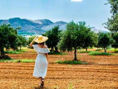 Kız Yunan Zeytin bahçesinde bir istirahat var