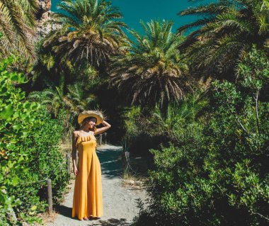 kız var dinlenme palm ormanda