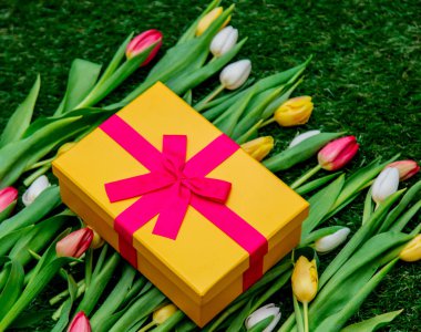 hediye kutusu ve lale yeşil çim çimen