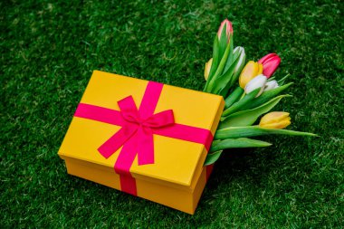 hediye kutusu ve lale yeşil çim çimen