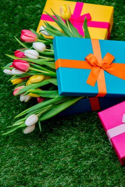 hediye kutuları ve lale yeşil çim çimen