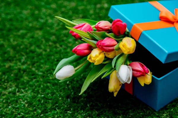 mavi hediye kutusu ve lale yeşil çim çimen