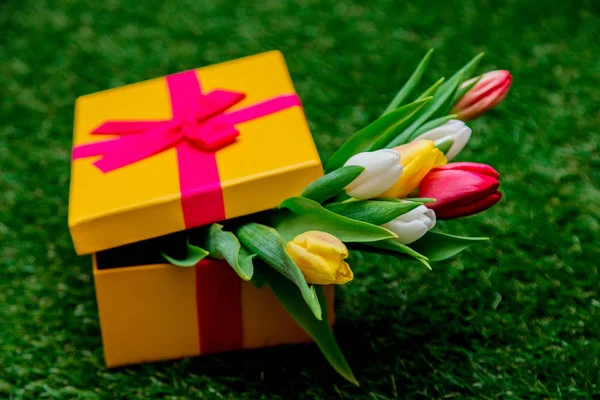 Confezione regalo e tulipani su prato verde erba — Foto Stock