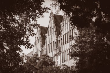 Eski evin cephesi ile ön plan ağaçta