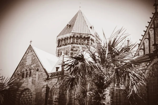 Vista na fachada da igreja velha com palmas em primeiro plano — Fotografia de Stock