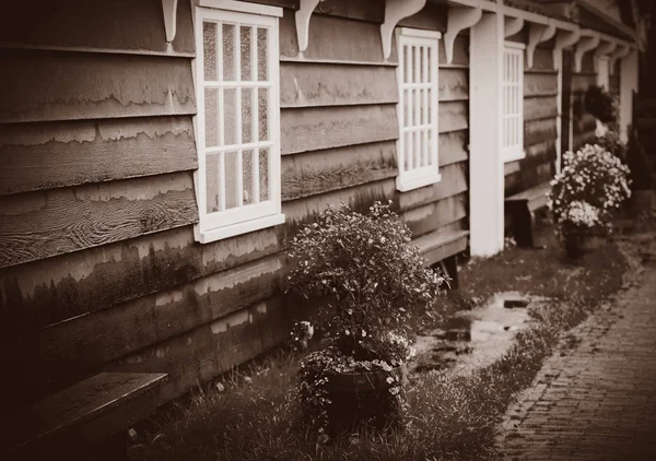Hollanda'da eski kırsal evinde görüntülemek — Stok fotoğraf
