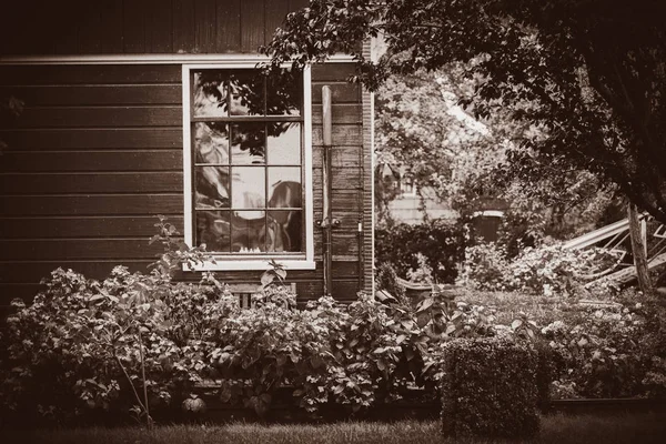 Vista na antiga casa rural na Holanda — Fotografia de Stock