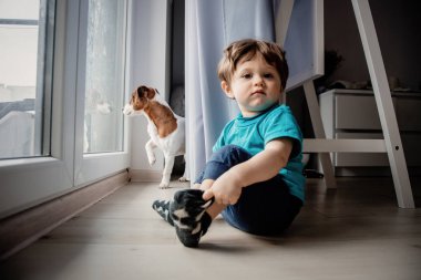 oğlum onun ile oynamak jack russell terrier köpek.