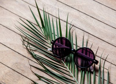 Güneş gözlüğü ve palmiye ağacı dalı