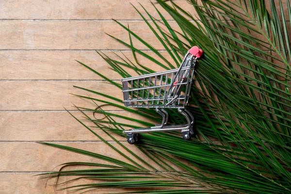 Shopping cart och palm trädgren — Stockfoto