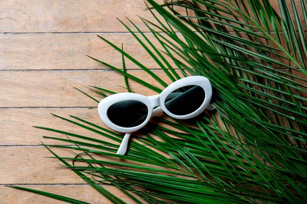 Sunglasses and palm tree branch — Stock Photo, Image